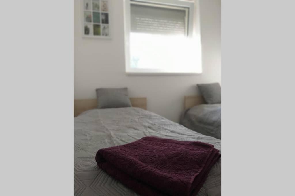 Toelgyerdo Apartman Kismaros エクステリア 写真