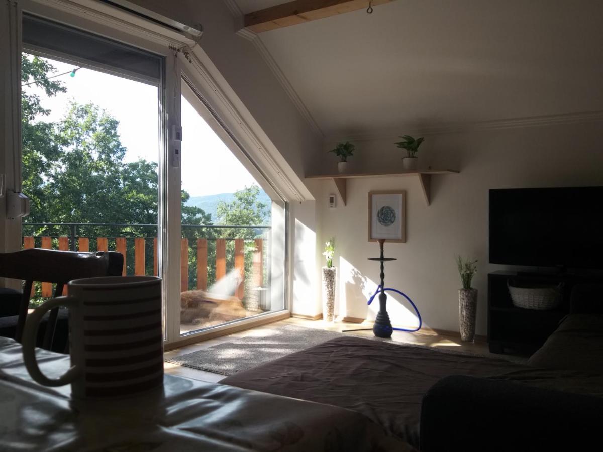 Toelgyerdo Apartman Kismaros エクステリア 写真