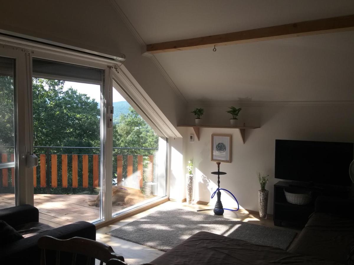 Toelgyerdo Apartman Kismaros エクステリア 写真