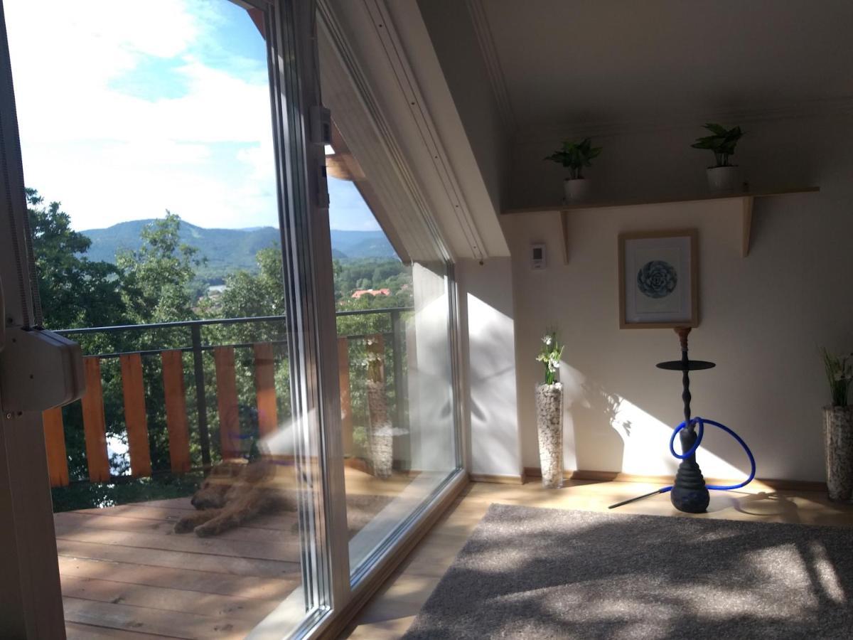 Toelgyerdo Apartman Kismaros エクステリア 写真