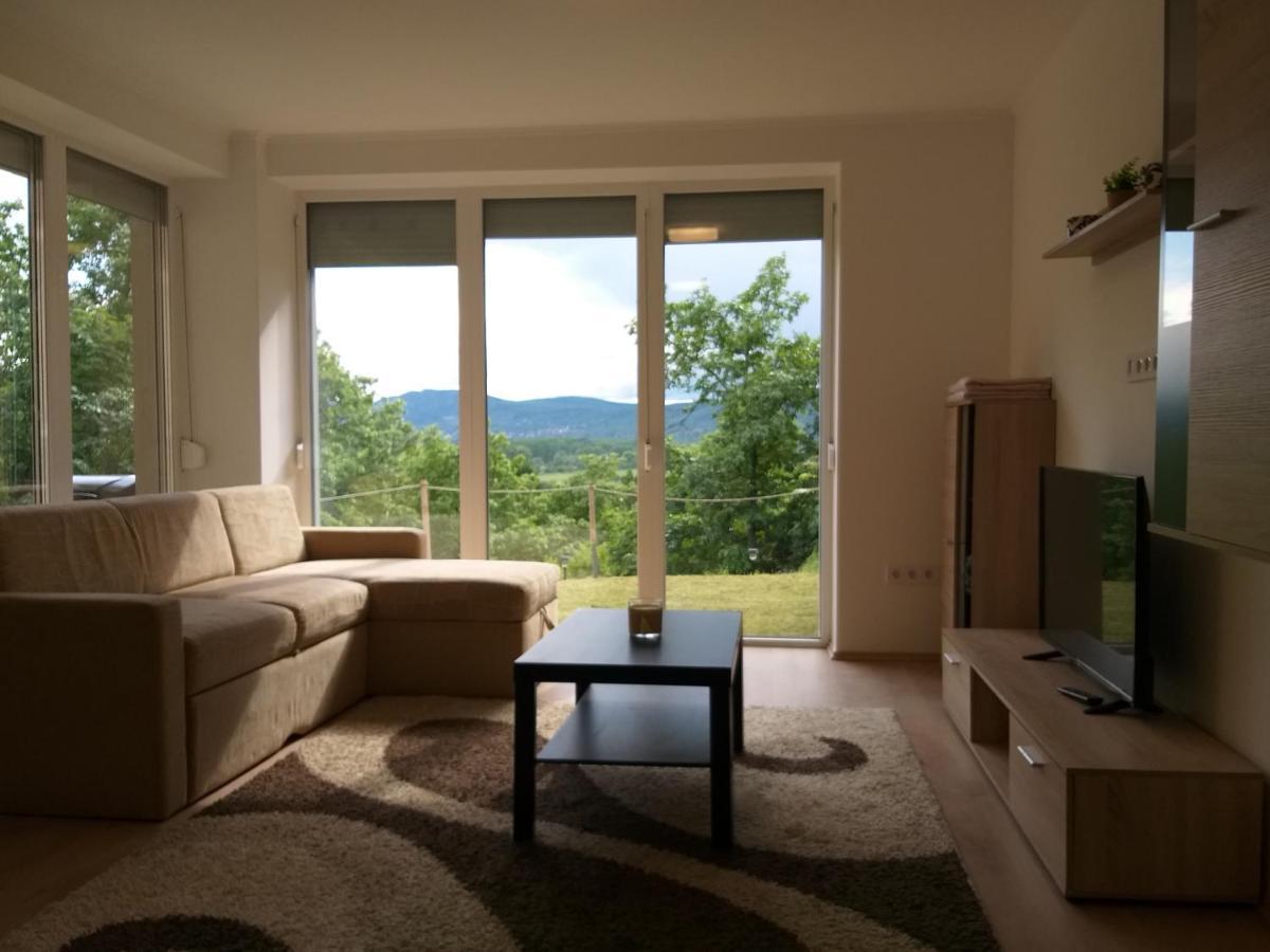 Toelgyerdo Apartman Kismaros エクステリア 写真